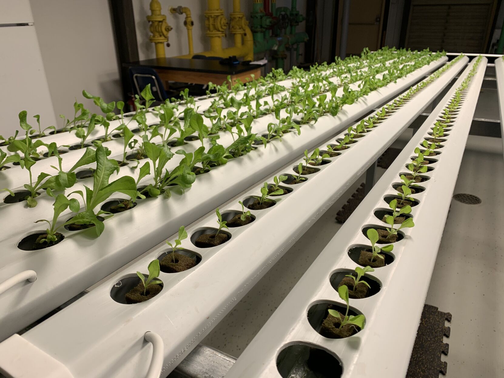 Byrd hydro farm step 2